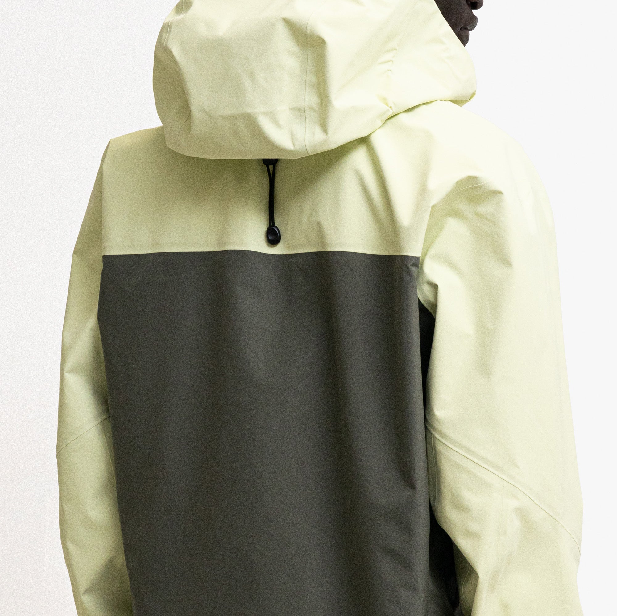 Arc'teryx Beta AR Ray / Forage