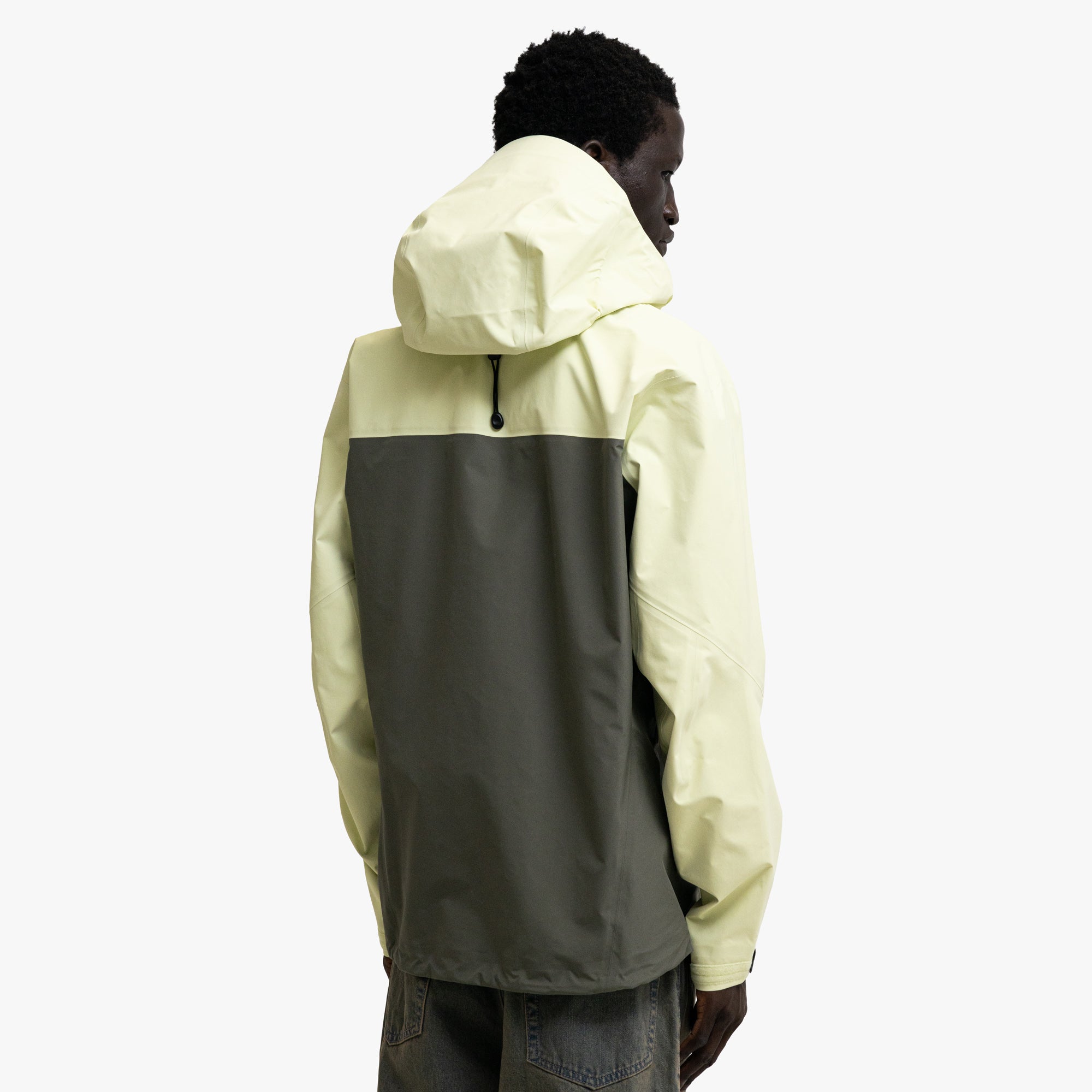 Arc'teryx Beta AR Ray / Forage