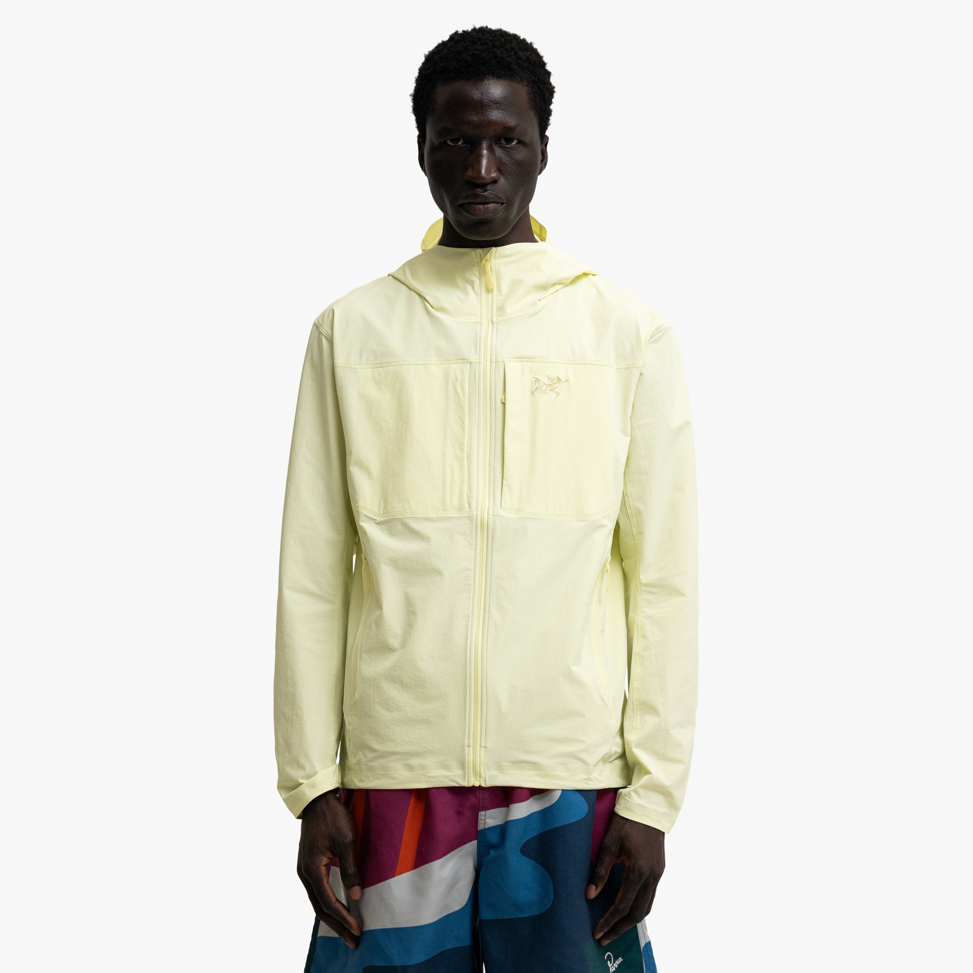 Arc'teryx Gamma Hoody Ray