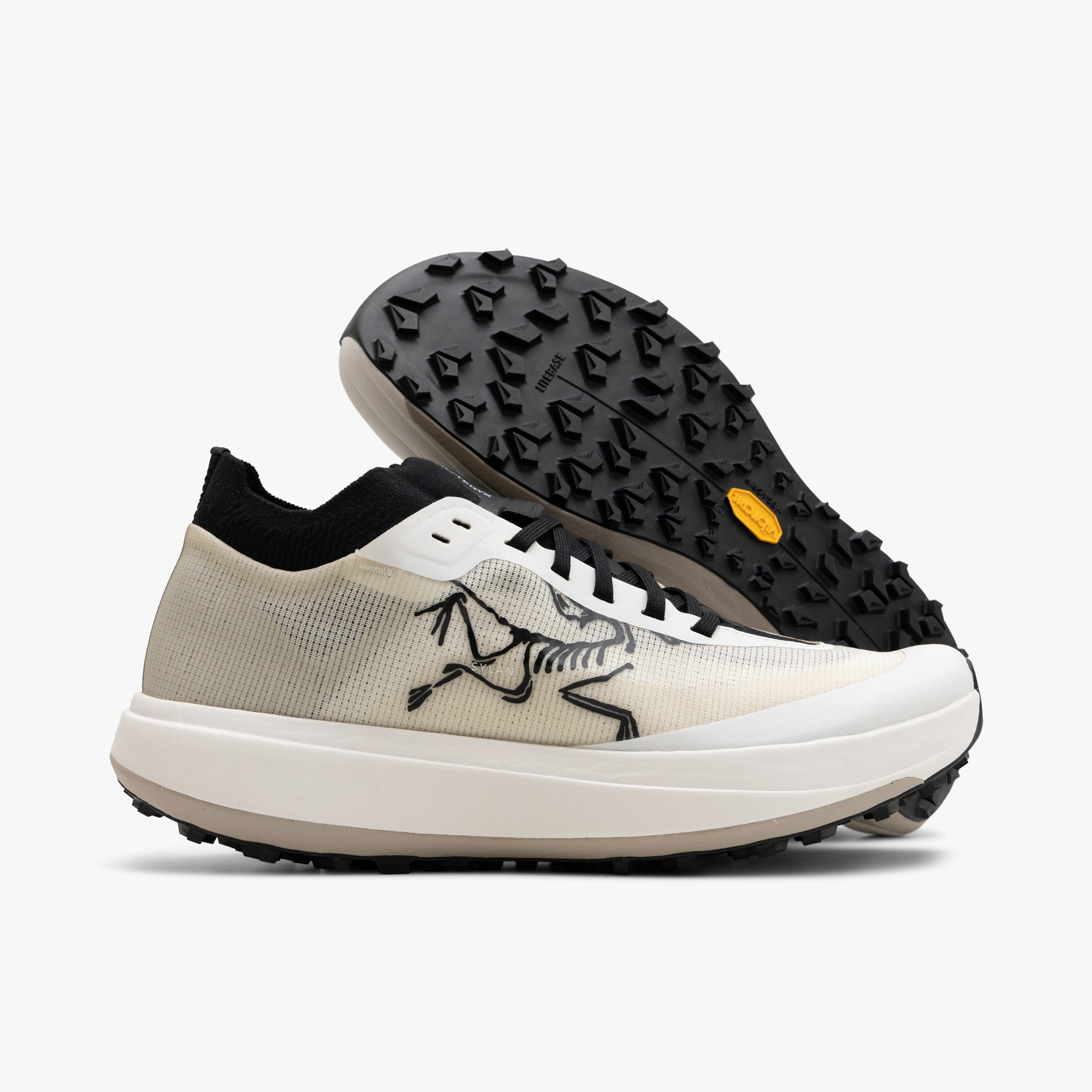 Arc'teryx Sylan Pro Arctic Silk / Arctic Silk
