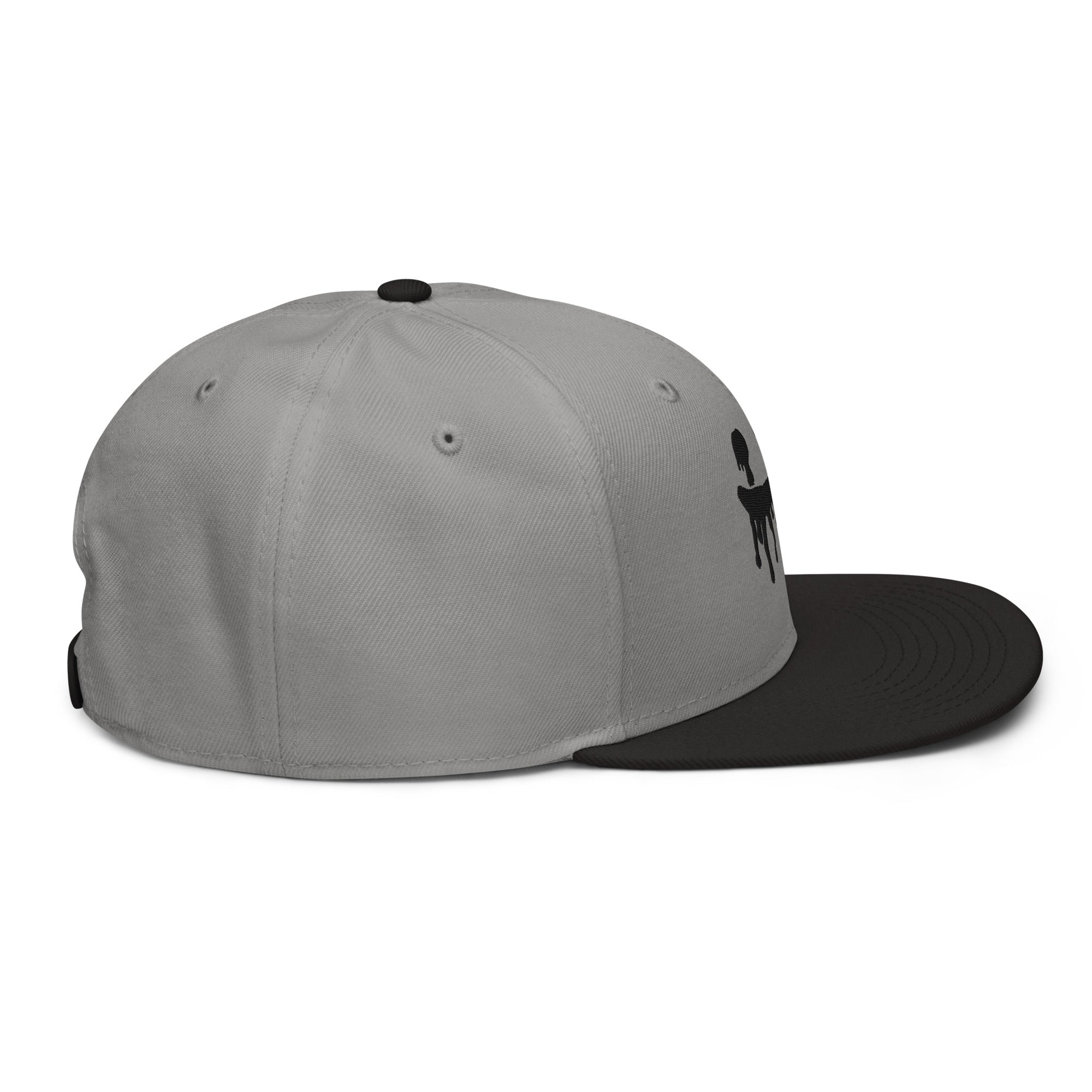 Brutishly Snapback Hat