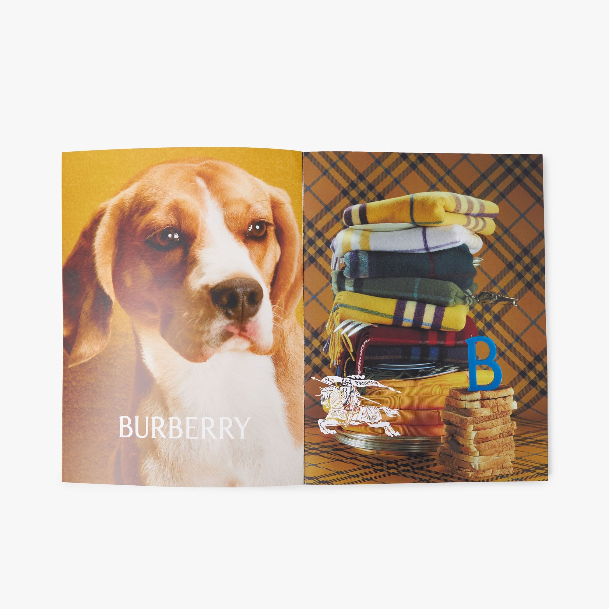 Bully Magazine Issue Two / Two Beam Cover