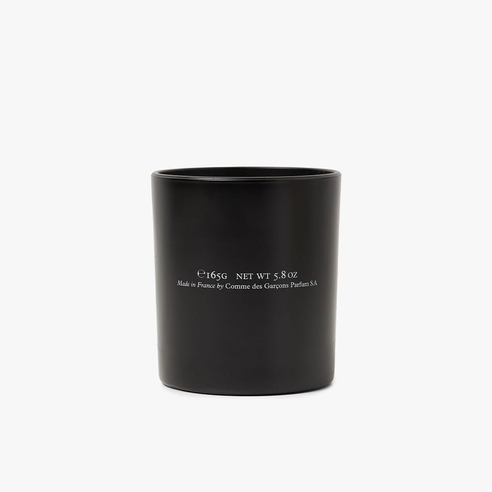 COMME des GARÇONS PARFUM x Monocle Hinoki Candle / 165g