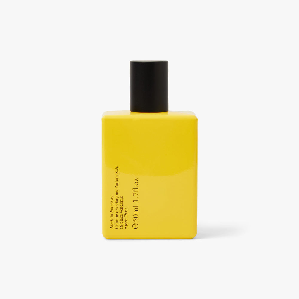 COMME des GARÇONS PARFUM Monocle Scent 3 Sugi / 50ml