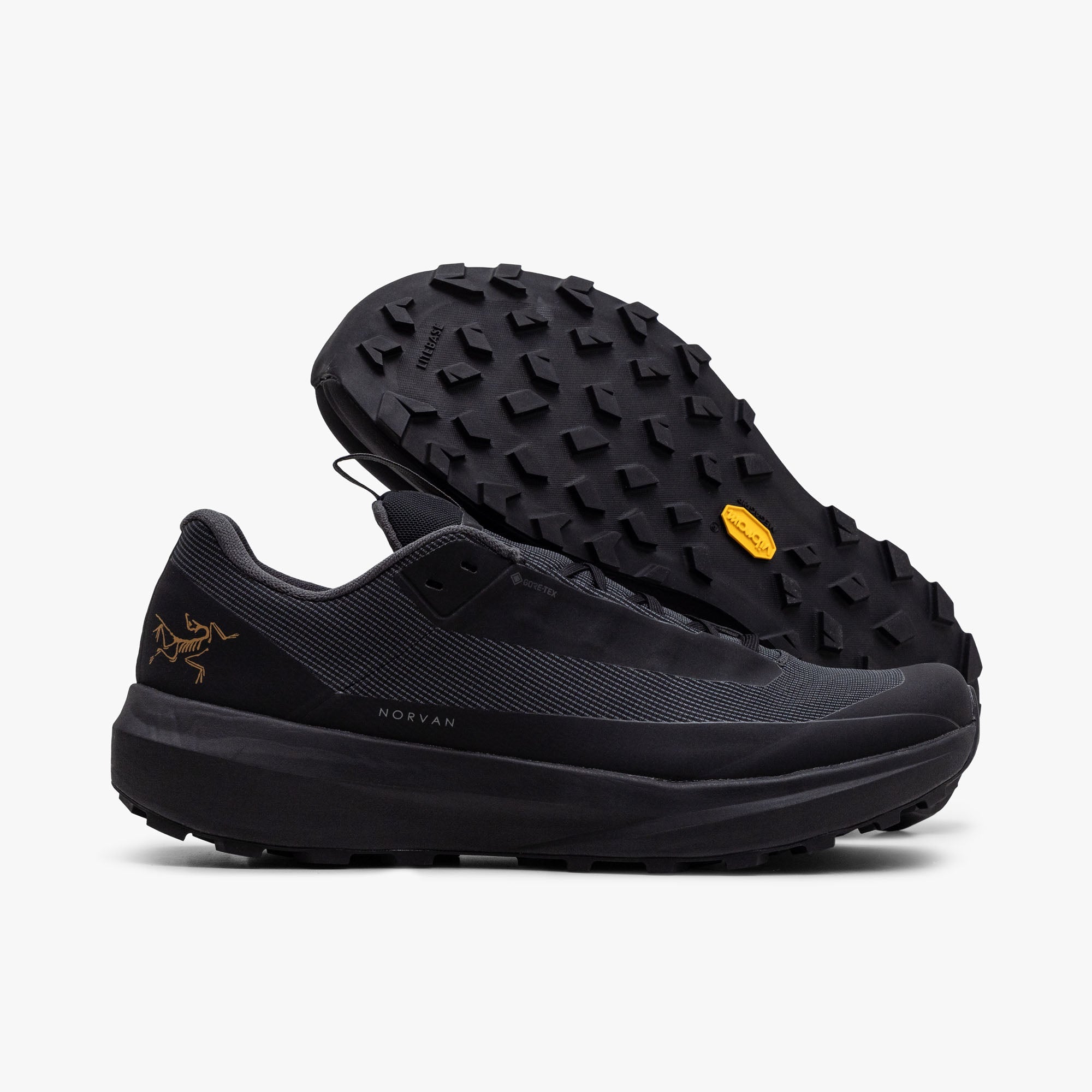 Arc'teryx Norvan LD 4 GORE-TEX Black / Black