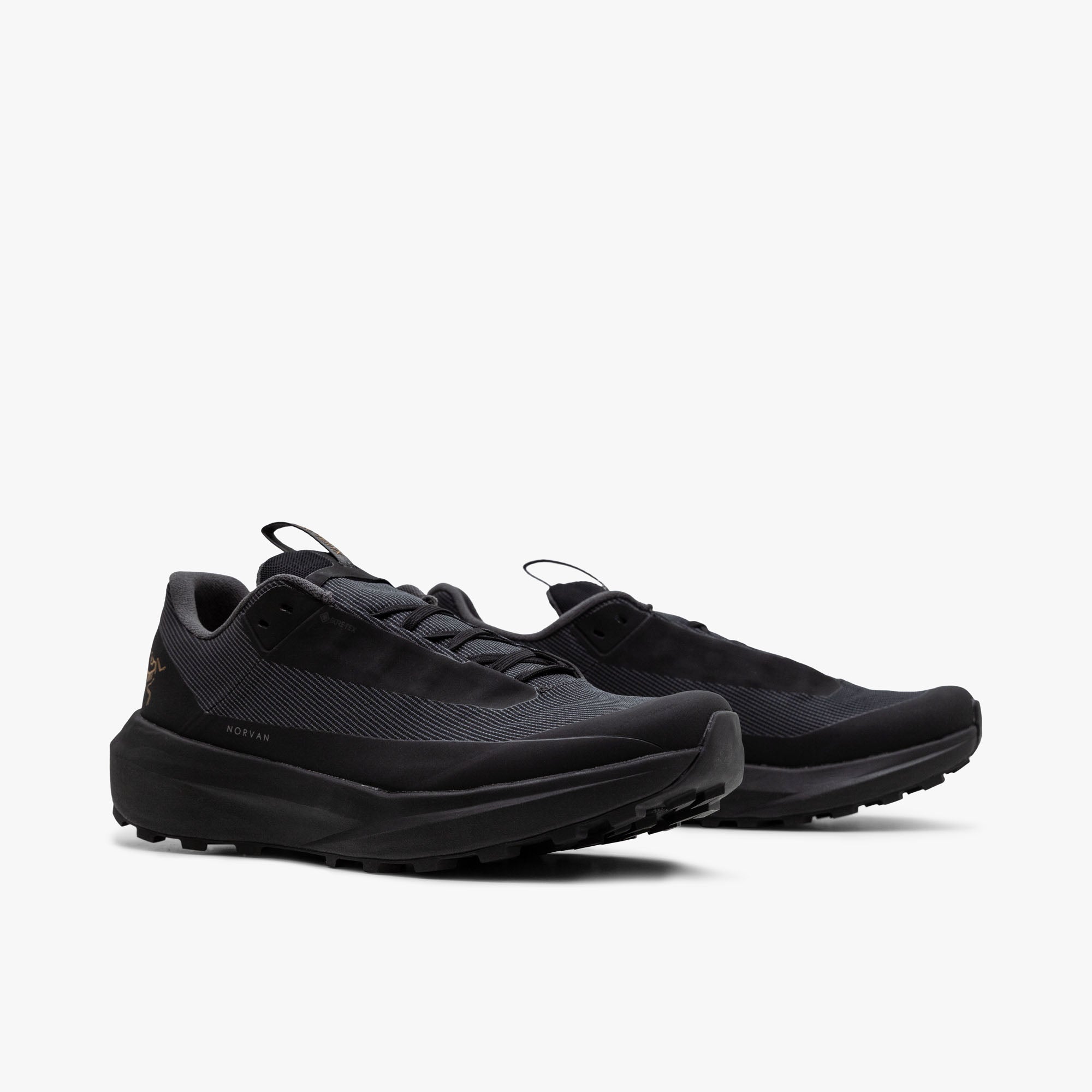Arc'teryx Norvan LD 4 GORE-TEX Black / Black