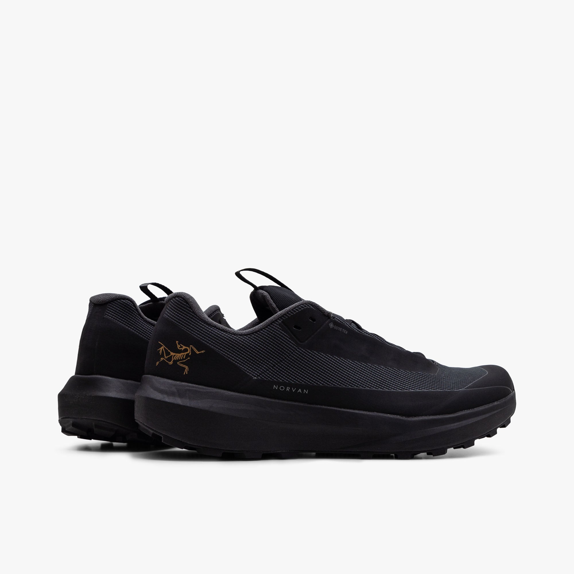 Arc'teryx Norvan LD 4 GORE-TEX Black / Black
