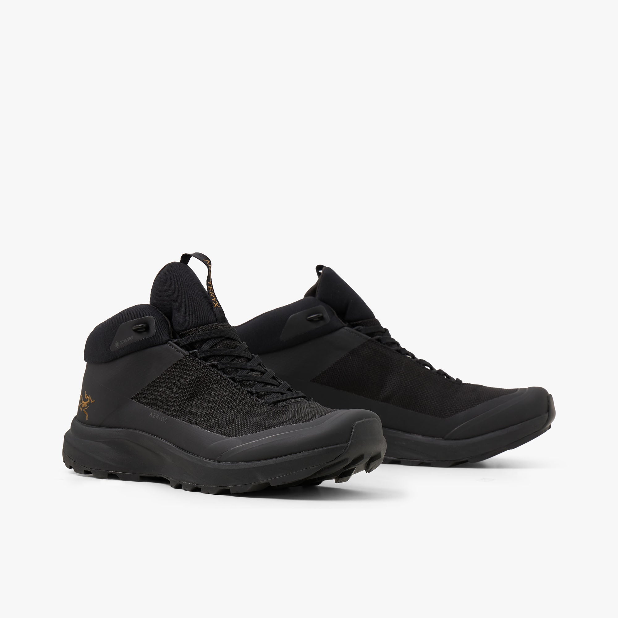 Arc'teryx Aerios FL 2 Mid GORE-TEX Black / Black