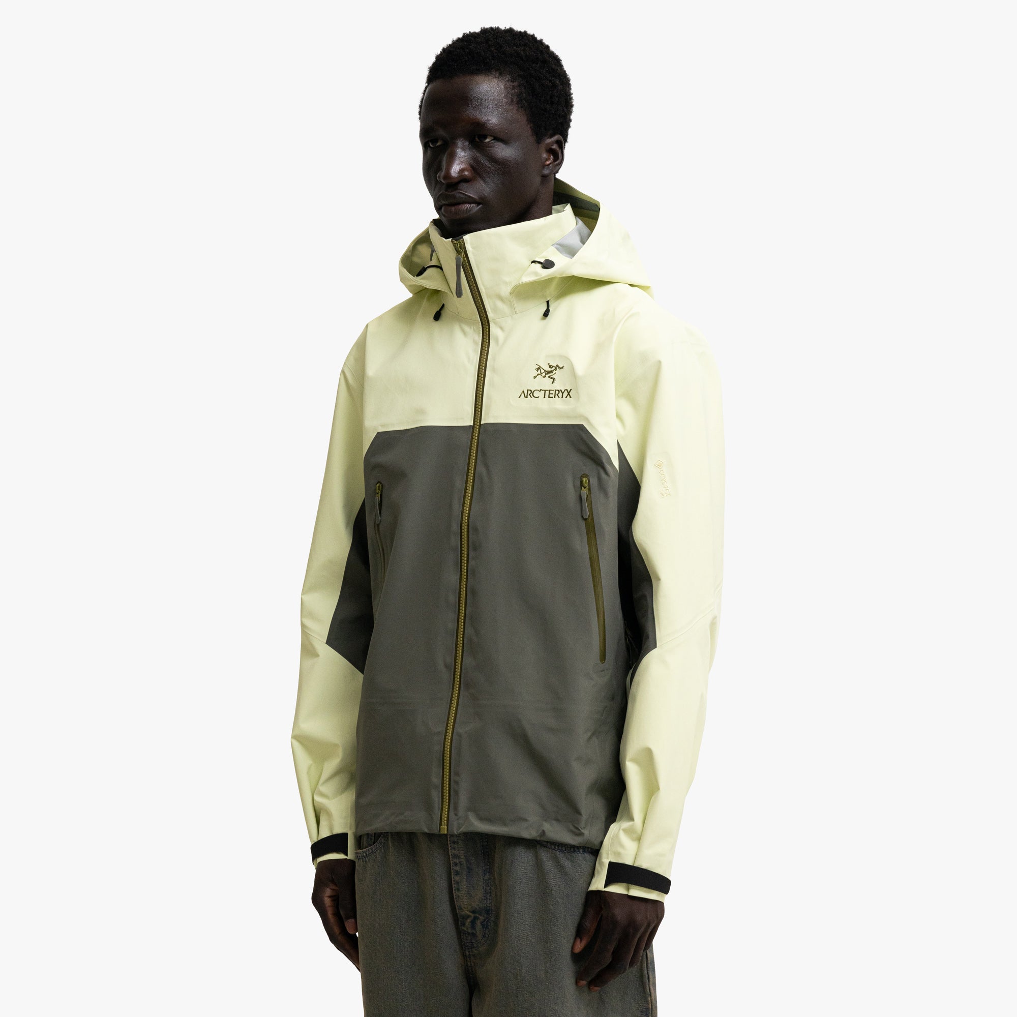 Arc'teryx Beta AR Ray / Forage