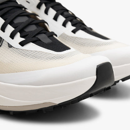 Arc'teryx Sylan Pro Arctic Silk / Arctic Silk